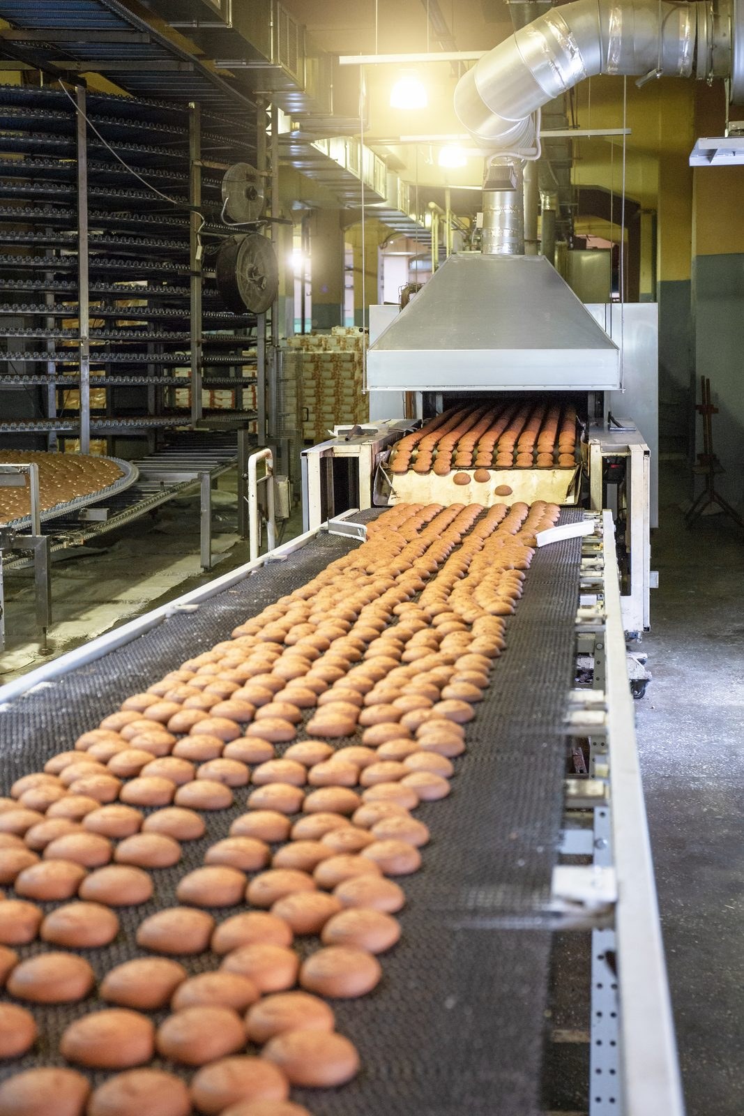 Industriële bakkerij productielijn